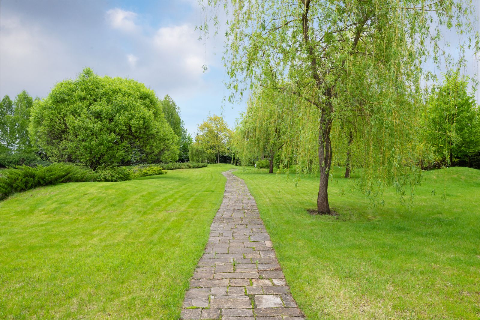Stone path winding through a manicured green lawn