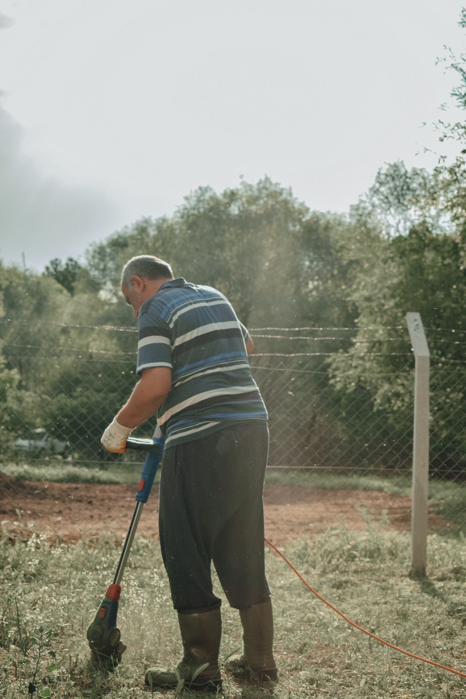 Edging a lawn along a garden fence with a string trimmer