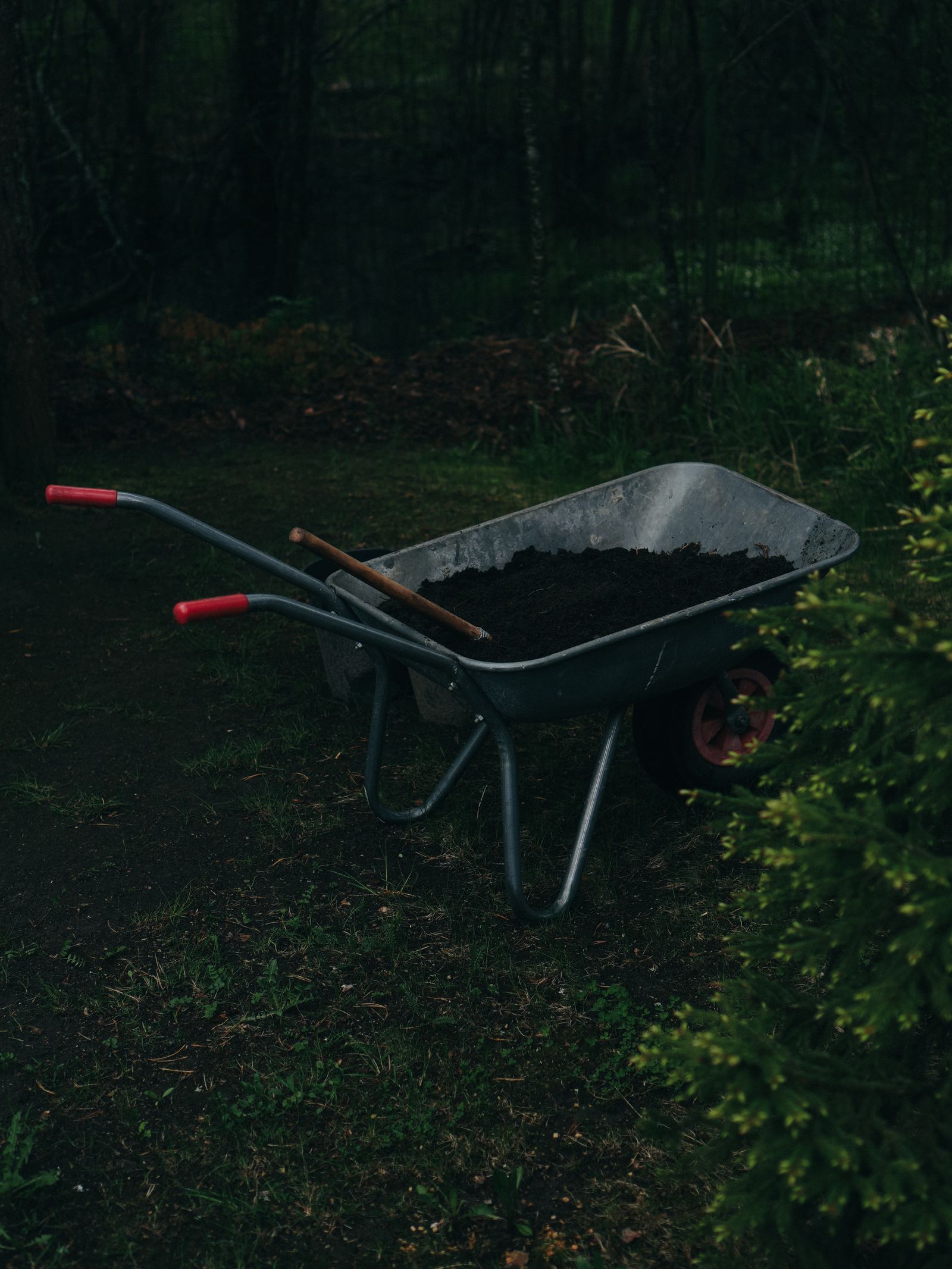 Wheelbarrow of fresh mulch for garden beds
