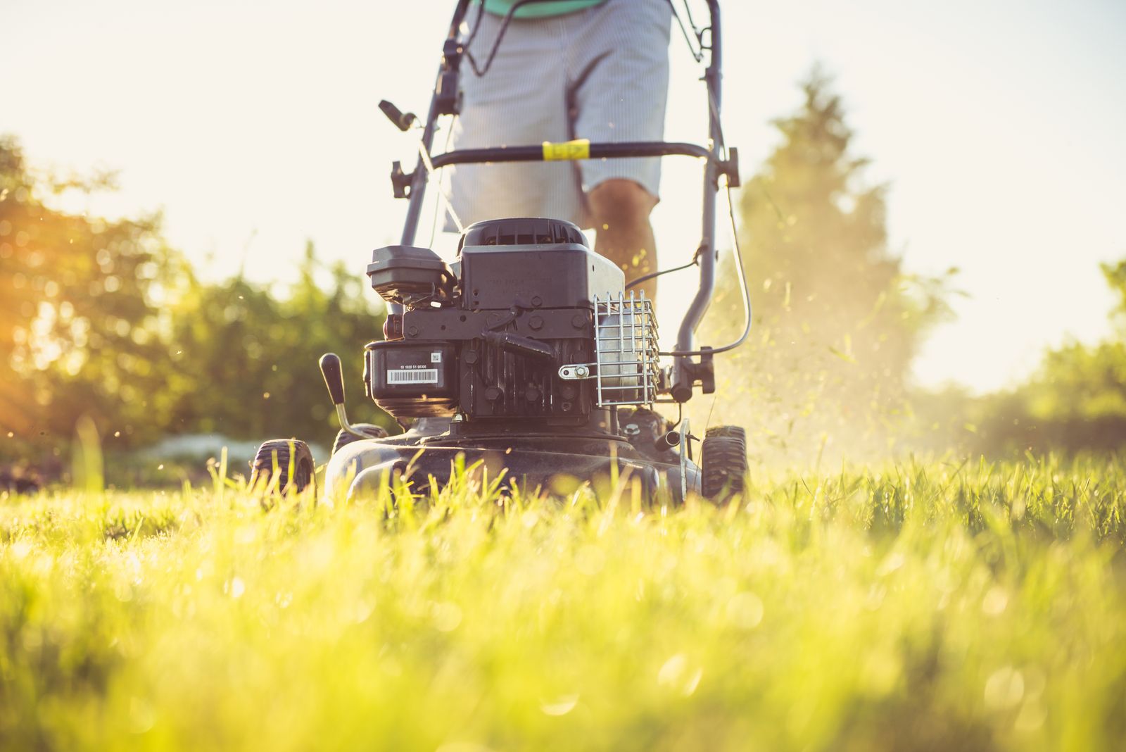 Fresh mow lines across a green lawn
